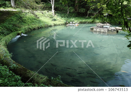滋賀縣三美榮鱒魚養殖場(日本最古老的山溪魚村)【滋賀縣米原市】 滋賀縣三美榮鱒魚養殖場(日本最古老的山溪魚村)【滋賀縣米原市】 106743513