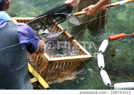滋賀縣三美榮鱒魚養殖場（日本最古老的山溪魚村）【滋賀縣米原市】 106743522