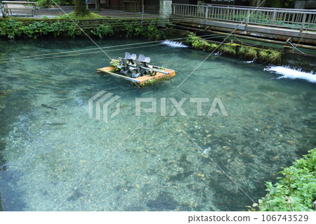 滋賀縣三美榮鱒魚養殖場(日本最古老的山溪魚村)【滋賀縣米原市】 滋賀縣三美榮鱒魚養殖場(日本最古老的山溪魚村)【滋賀縣米原市】 106743529