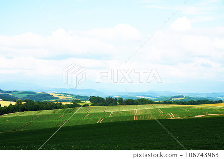 北海道夏季廣闊的鄉村景觀 北海道夏季廣闊的鄉村景觀 106743963