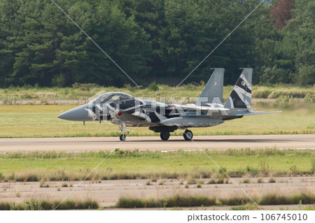 Air Self-Defense Force Flight Instruction Group F-15DJ Eagle taxiing 106745010