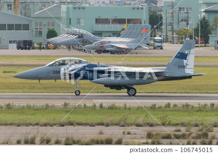 Air Self-Defense Force Flight Instruction Group F-15DJ Eagle taxiing 106745015
