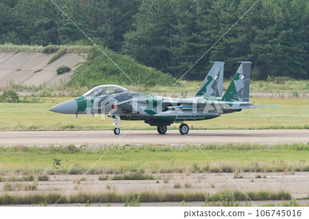 航空自衛隊飛行指導大隊F-15DJ鷹滑行 航空自衛隊飛行指導大隊F-15DJ鷹滑行 106745016