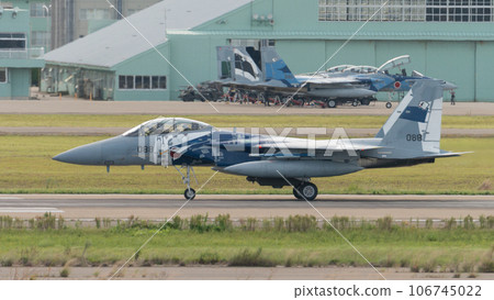 Air Self-Defense Force Flight Instruction Group F-15DJ Eagle taxiing Air Self-Defense Force Flight Instruction Group F-15DJ Eagle taxiing 106745022