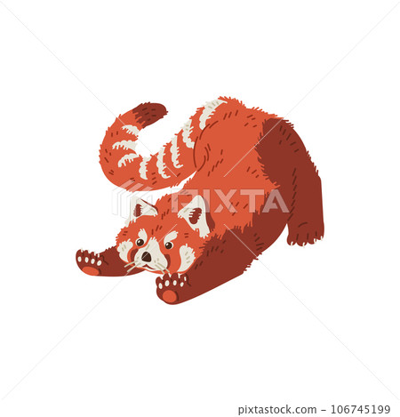 Cute red panda cartoon flat vector illustration, chinese animal pulls up, character from wild forest, fluffy red panda Cute red panda cartoon flat vector illustration, chinese animal pulls up, character from wild forest, fluffy red panda 106745199