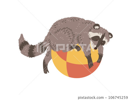 Vector funny racoon lies on a big ball, baby animal playing, hand drawn cartoon illustration isolated on white background Vector funny racoon lies on a big ball, baby animal playing, hand drawn cartoon illustration isolated on white background 106745259