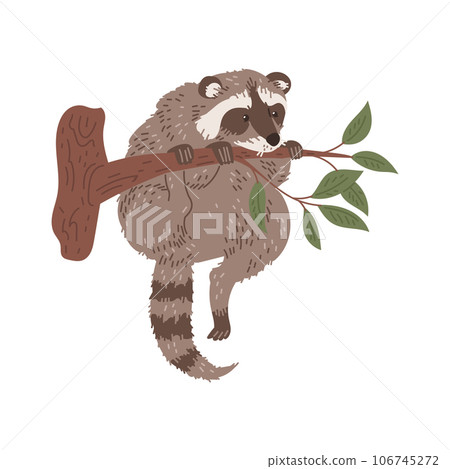 Cute raccoon climbs on branch flat style, vector illustration 106745272