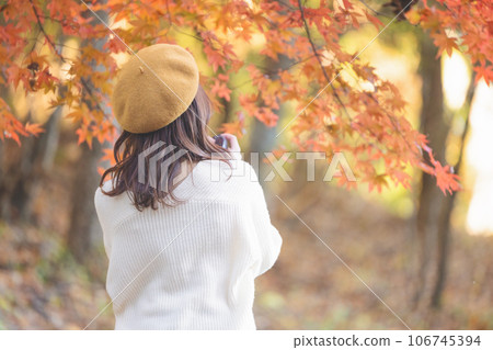 A woman enjoying autumn leaves 106745394