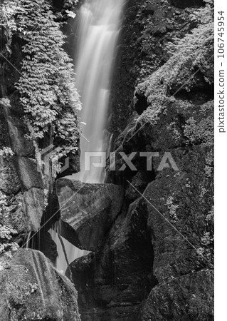 （群馬縣）初秋的照葉峽谷和大澤大瀑布，單色 106745954