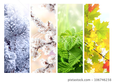 Four seasons of year. Set of vertical nature banners with winter, spring, summer and autumn scenes. Nature collage with seasonal scenics Four seasons of year. Set of vertical nature banners with winter, spring, summer and autumn scenes. Nature collage with seasonal scenics 106746238
