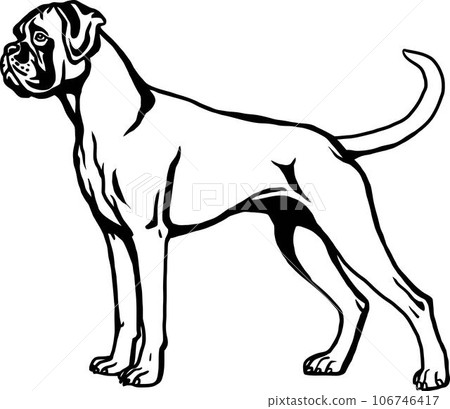 Boxer - Dog Breed, Funny dog Vector File, detailed vector 106746417