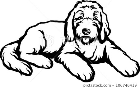 Goldendoodle - Dog Breed, Funny dog Vector File, detailed vector 106746419