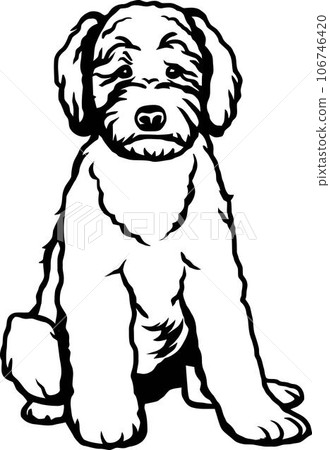 Goldendoodle - Dog Breed, Funny dog Vector File, detailed vector 106746420