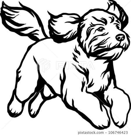 Goldendoodle - Dog Breed, Funny dog Vector File, detailed vector Goldendoodle - Dog Breed, Funny dog Vector File, detailed vector 106746423