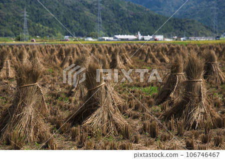 農村現場與藍藍的天空,在美好的秋天 農村現場與藍藍的天空,在美好的秋天 106746467