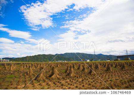 農村現場與藍藍的天空,在美好的秋天 農村現場與藍藍的天空,在美好的秋天 106746469