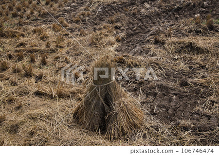 Rural scene with blue sky in fine autumn 106746474
