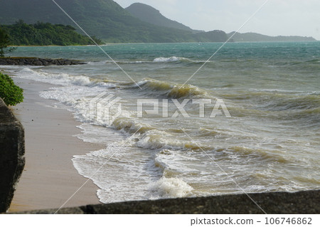 Disaster-like rough waves 106746862