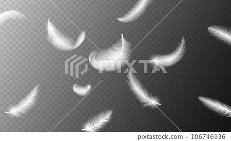 Realistic feathers. White bird falling feather isolated. Realistic 3d vector illustration of falling dove feathers texture or elegant soft plume backdrop 106746936
