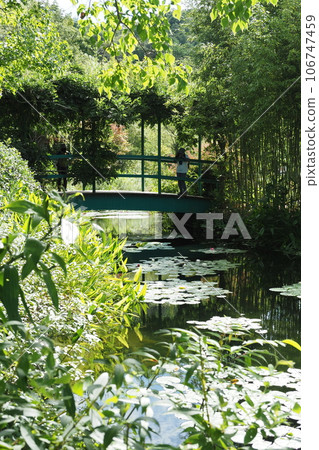 夏天的莫奈花園 106747459