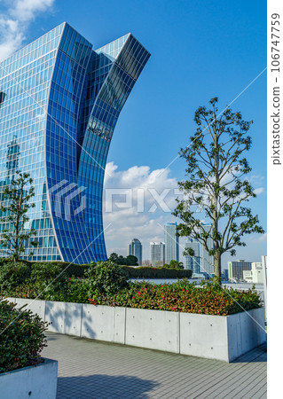 [Urban landscape of Kanagawa] Urban landscape around Minato Mirai (view of buildings from Rinko Park) 106747759