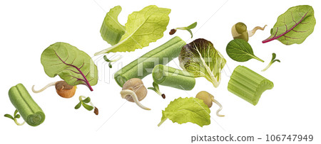 Vegetarian salad with asparagus and sprouted beans isolated on white background 106747949