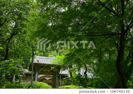 The four-legged gate of Miyako Ikuzan Jikoji Temple in Tokigawa Town 106748130
