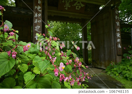 常川町宮古生山慈光寺四足門的秋花 106748135