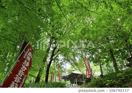 常川町宮古育山慈光寺觀音堂 106748137