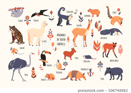 Set of South American animals with floral elements and captions. Simple vector style, beige colors. 106748982