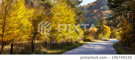 Golden magic autumn colorful trees and road banner Golden magic autumn colorful trees and road banner 106749330