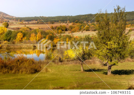 Golden magic autumn colorful trees and lake 106749331