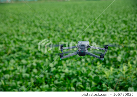 Flying drone taking photo of green water hyacinth in pond 106750025