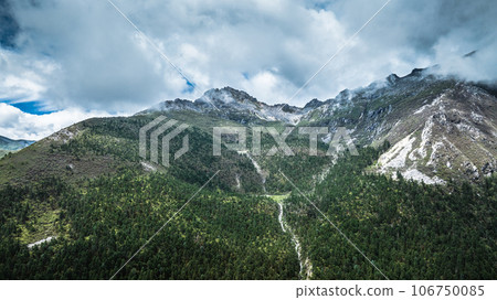Aerial view of pine trees in beautiful forest landscape 106750085