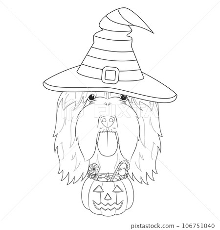 Halloween greeting card for coloring. Bearded Collie dog dressed as a witch with purple hat and a pumpkin with candies in the mouth Halloween greeting card for coloring. Bearded Collie dog dressed as a witch with purple hat and a pumpkin with candies in the mouth 106751040