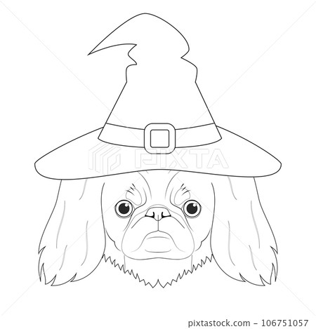Halloween greeting card for coloring. Pekingese dog dressed as a witch with black hat 106751057