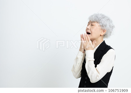 Senior woman about to sneeze 106751909
