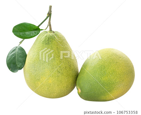 Pomelo mid-autumn festival white background go back pomelo isolated clipping path 切り抜き 106753358
