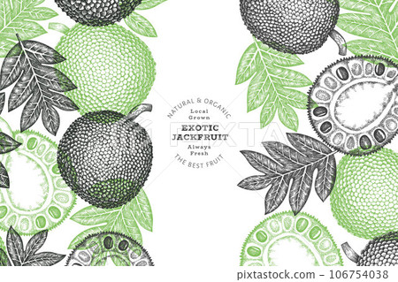 Hand drawn sketch style jackfruit banner. Organic fresh fruit vector illustration. Retro breadfruit design template Hand drawn sketch style jackfruit banner. Organic fresh fruit vector illustration. Retro breadfruit design template 106754038