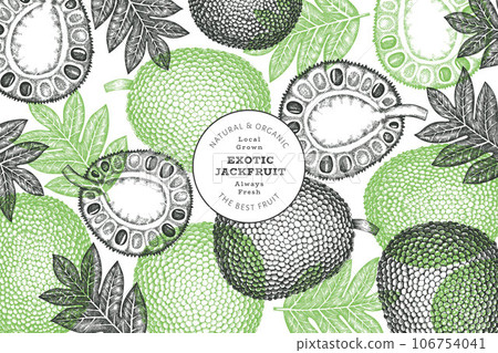 Hand drawn sketch style jackfruit banner. Organic fresh fruit vector illustration. Retro breadfruit design template Hand drawn sketch style jackfruit banner. Organic fresh fruit vector illustration. Retro breadfruit design template 106754041
