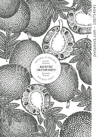Hand drawn sketch style jackfruit banner. Organic fresh fruit vector illustration. Retro breadfruit design template Hand drawn sketch style jackfruit banner. Organic fresh fruit vector illustration. Retro breadfruit design template 106754045