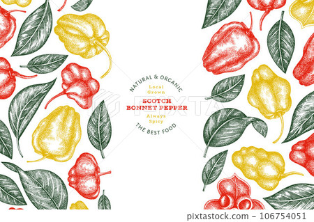 Hand drawn sketch style scotch bonnet pepper banner. Organic fresh vegetable vector illustration. Retro cayenne pepper design template Hand drawn sketch style scotch bonnet pepper banner. Organic fresh vegetable vector illustration. Retro cayenne pepper design template 106754051