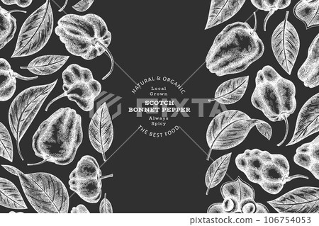 Hand drawn sketch style scotch bonnet pepper banner. Organic fresh vegetable vector illustration on chalk board. Retro cayenne pepper design template Hand drawn sketch style scotch bonnet pepper banner. Organic fresh vegetable vector illustration on chalk board. Retro cayenne pepper design template 106754053
