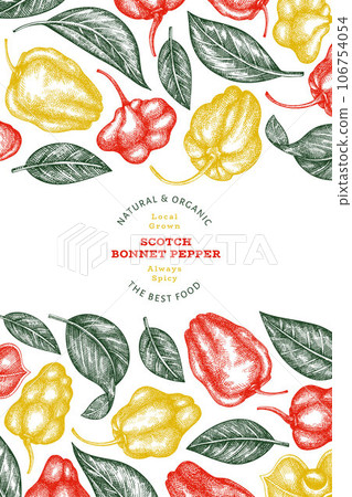Hand drawn sketch style scotch bonnet pepper banner. Organic fresh vegetable vector illustration. Retro cayenne pepper design template 106754054