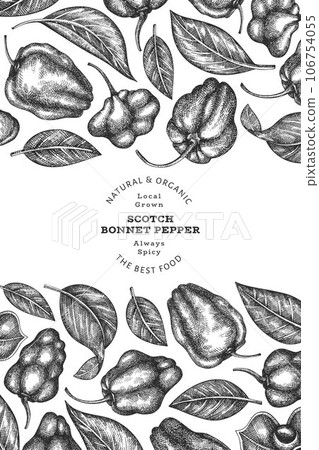 Hand drawn sketch style scotch bonnet pepper banner. Organic fresh vegetable vector illustration. Retro cayenne pepper design template Hand drawn sketch style scotch bonnet pepper banner. Organic fresh vegetable vector illustration. Retro cayenne pepper design template 106754055