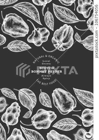 Hand drawn sketch style scotch bonnet pepper banner. Organic fresh vegetable vector illustration on chalk board. Retro cayenne pepper design template 106754056