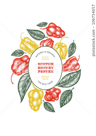 Hand drawn sketch style scotch bonnet pepper banner. Organic fresh vegetable vector illustration. Retro cayenne pepper design template 106754057