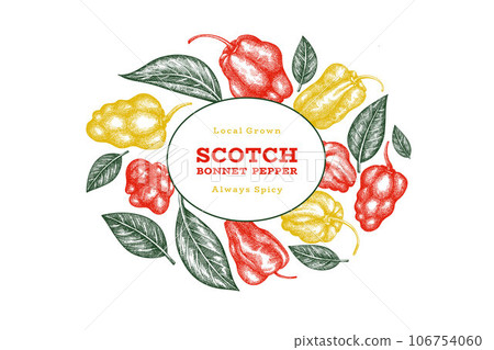Hand drawn sketch style scotch bonnet pepper banner. Organic fresh vegetable vector illustration. Retro cayenne pepper design template 106754060