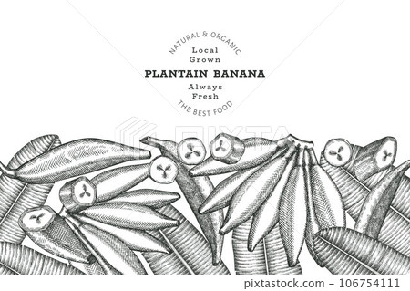 Hand drawn sketch style plantain banner. Organic fresh fruit vector illustration. Retro exotic banana fruit design template Hand drawn sketch style plantain banner. Organic fresh fruit vector illustration. Retro exotic banana fruit design template 106754111