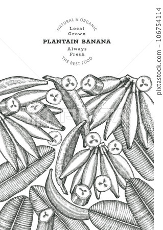 Hand drawn sketch style plantain banner. Organic fresh fruit vector illustration. Retro exotic banana fruit design template 106754114